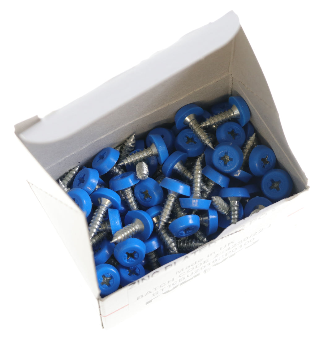 SCREWS WITH POLLY TOPS BLUE X100