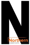 'N' 4D ACRYLIC NUMBER PLATE LETTER (10 PACK)